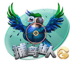 半岛星空足球app下载 v8.29.9.12 官方正式版 2